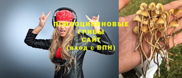 кокс Алзамай